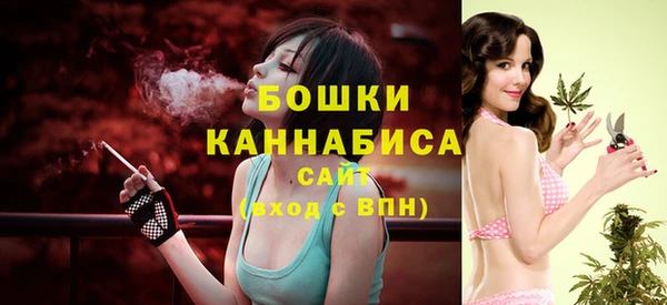 стафф Бородино