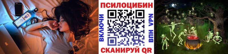 Галлюциногенные грибы MAGIC MUSHROOMS  Кедровый 